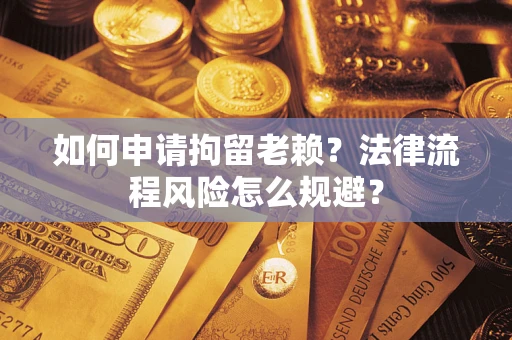武汉如何申请拘留老赖？法律流程风险怎么规避？