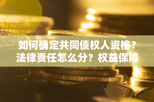 武汉如何确定共同债权人资格？法律责任怎么分？权益保障技巧揭秘！