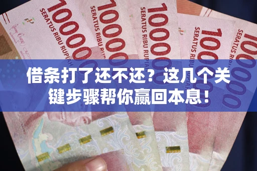 武汉借条打了还不还？这几个关键步骤帮你赢回本息！