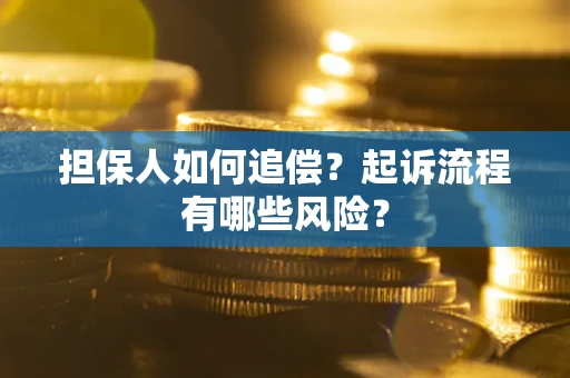 武汉担保人如何追偿？起诉流程有哪些风险？