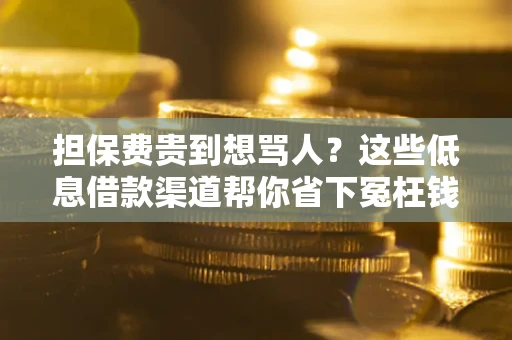 武汉担保费贵到想骂人？这些低息借款渠道帮你省下冤枉钱