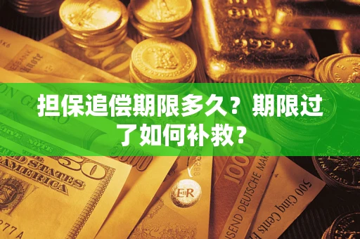 武汉担保追偿期限多久？期限过了如何补救？