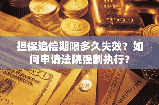 武汉担保追偿期限多久失效？如何申请法院强制执行？