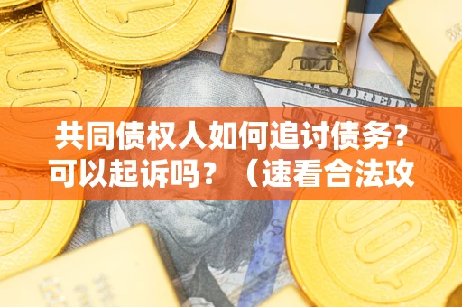 武汉共同债权人如何追讨债务？可以起诉吗？（速看合法攻略）