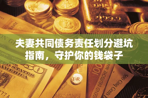武汉夫妻共同债务责任划分避坑指南，守护你的钱袋子