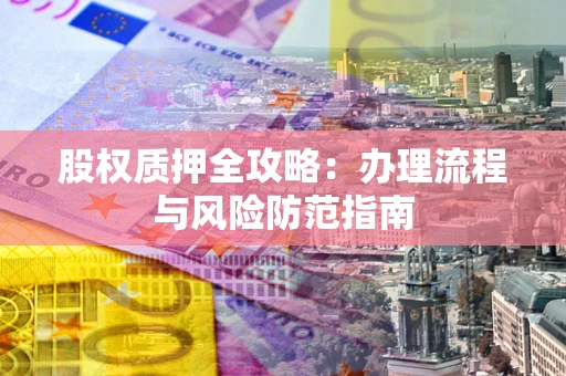 武汉股权质押全攻略：办理流程与风险防范指南