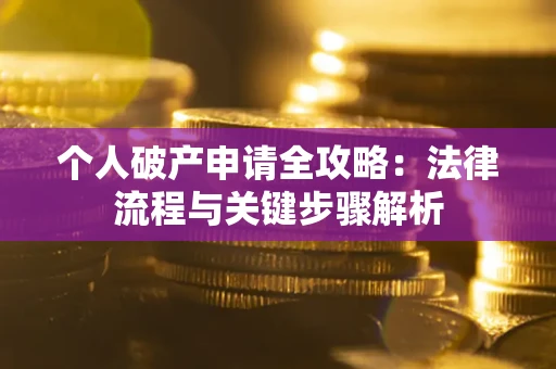 武汉个人破产申请全攻略：法律流程与关键步骤解析