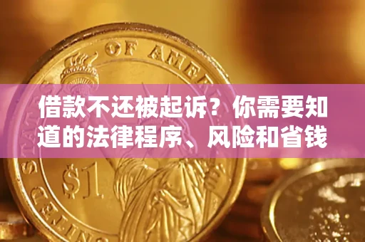 武汉借款不还被起诉？你需要知道的法律程序、风险和省钱技巧