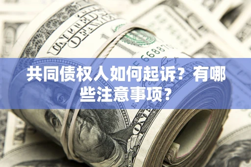 武汉共同债权人如何起诉？有哪些注意事项？